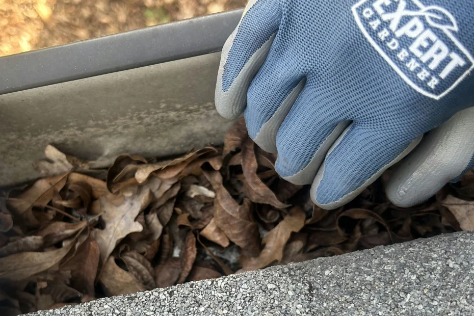 Gutter Cleaning Avery Creek